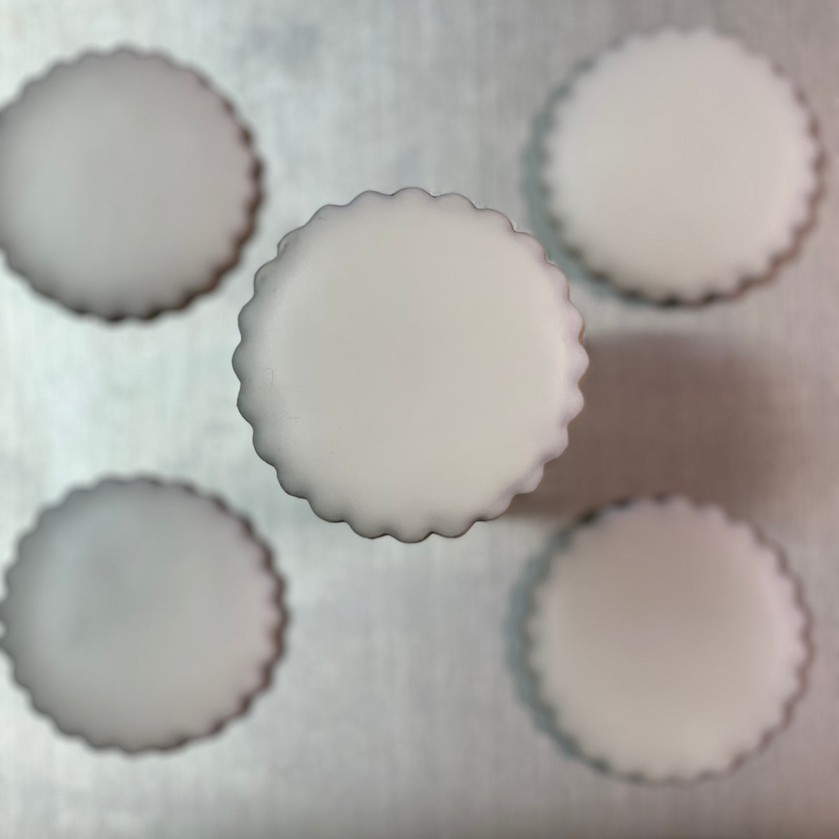 Blank Cookies Eddie Printer Ready DIY Family Kid Activity Sugar Beez Custom Cookies Chicago