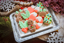 Load image into Gallery viewer, Christmas Cookie On-Demand Class!